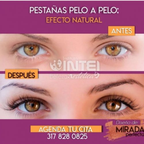 31dc0ac0-8a4e-40a4-ab49-0083c93a3511
